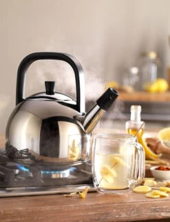 Zwilling Plus Fluitketel Rond 1,6 Liter Rvs -Woonkeuken Winkel zwilling plus fluitketel rond 1 5 liter rvs